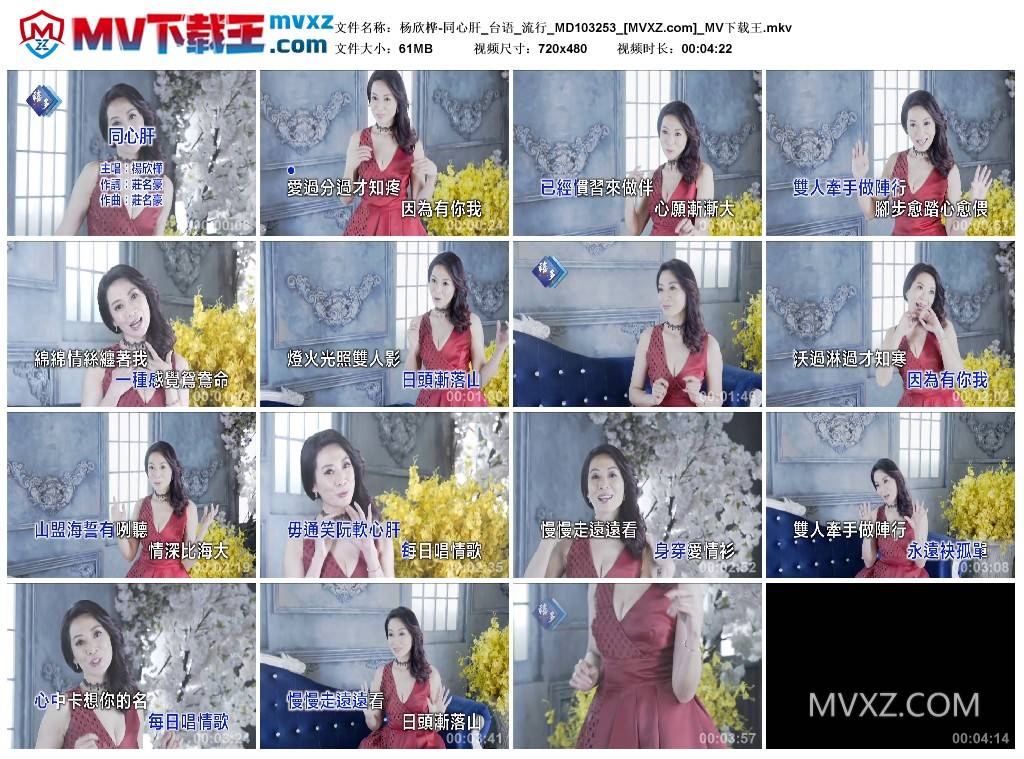 杨欣桦-同心肝_台语_流行_MD103253